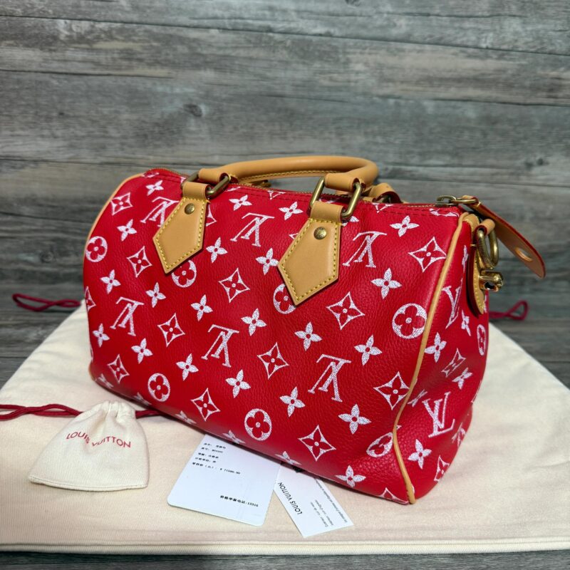 LV red 25 speedy+Black Hermès Birkin bag